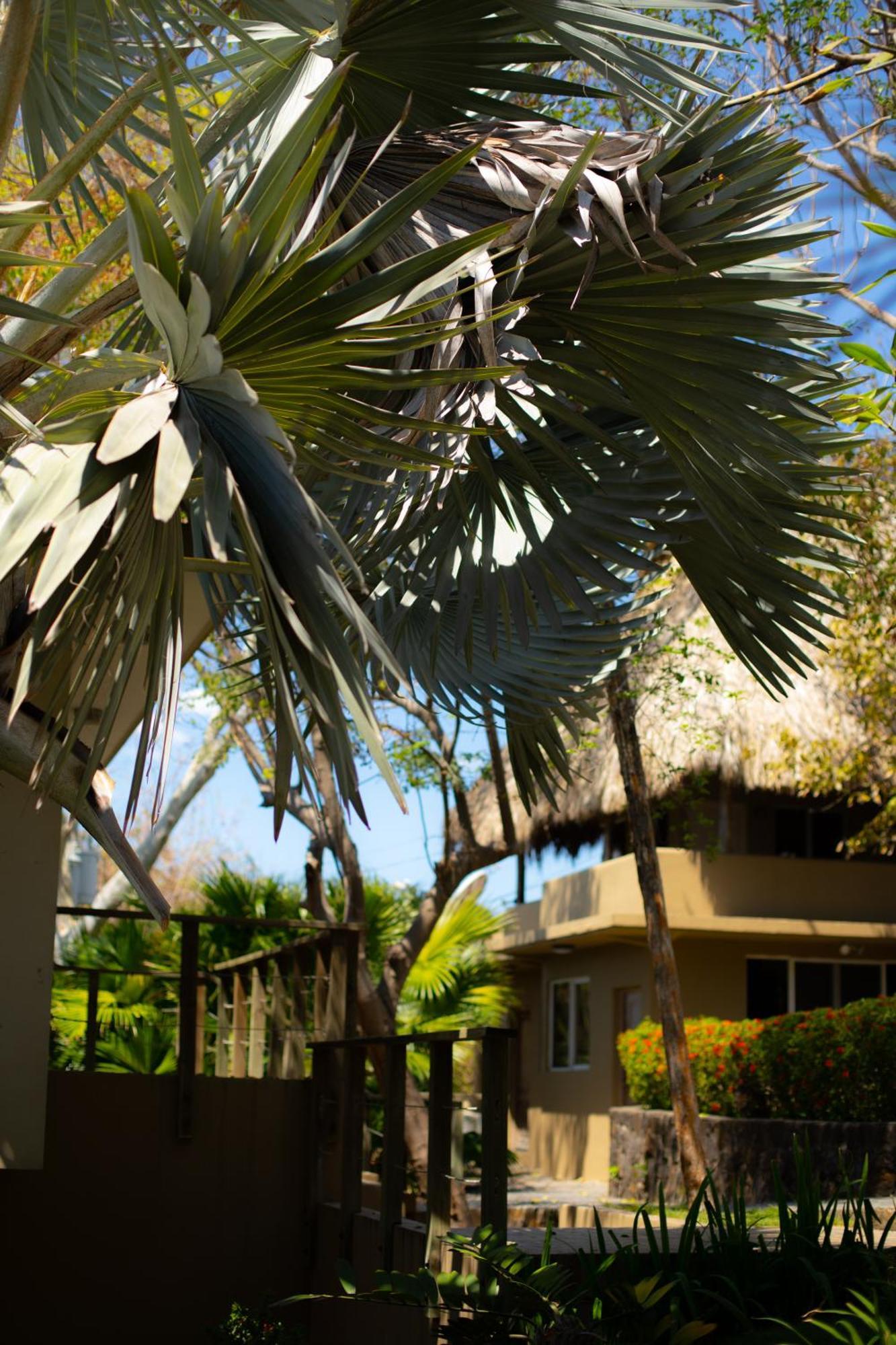 Casa De Mar Hotel And Villas La Libertad Εξωτερικό φωτογραφία